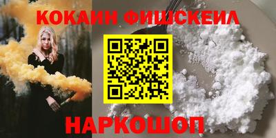 амф Кингисепп