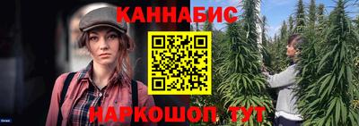 амф Кингисепп