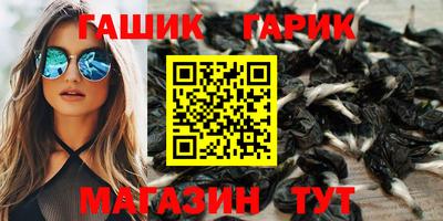 амф Кингисепп