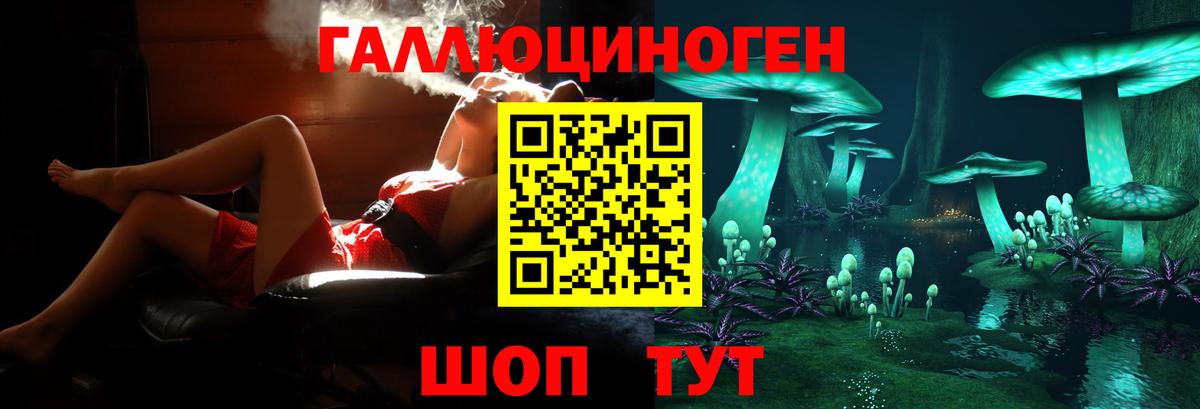 Псилоцибиновые грибы Psilocybine cubensis  Псилоцибиновые грибы мицелий  Тимашёвск  Вход с VPN 